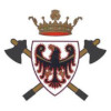 Logo Federazione VVF Volontari