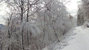 Nevicata primaverile a bassa quota